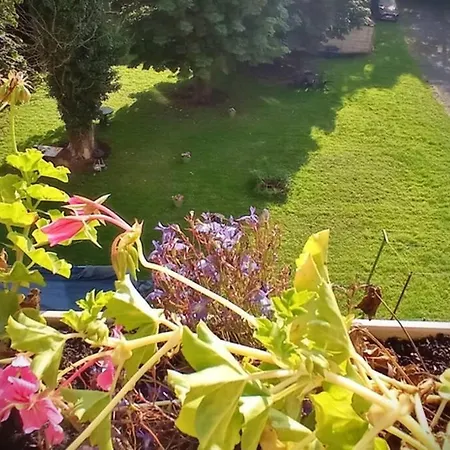 Au Petit Familistère Landrecies, L'authentique. *